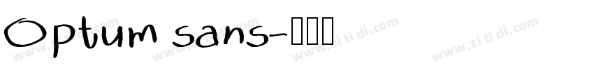 Optum sans字体转换